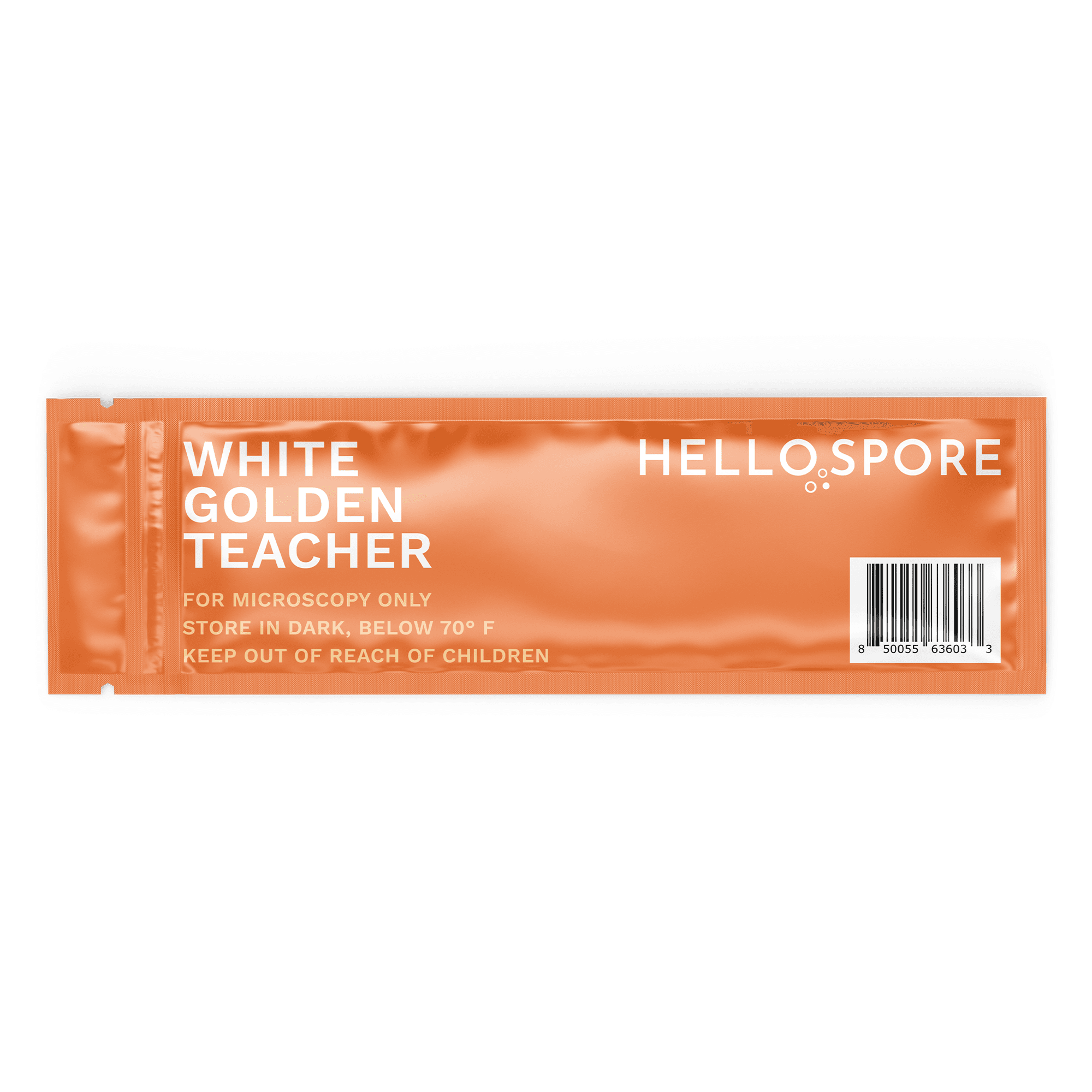 White Golden Teacher Spore Syringe 4