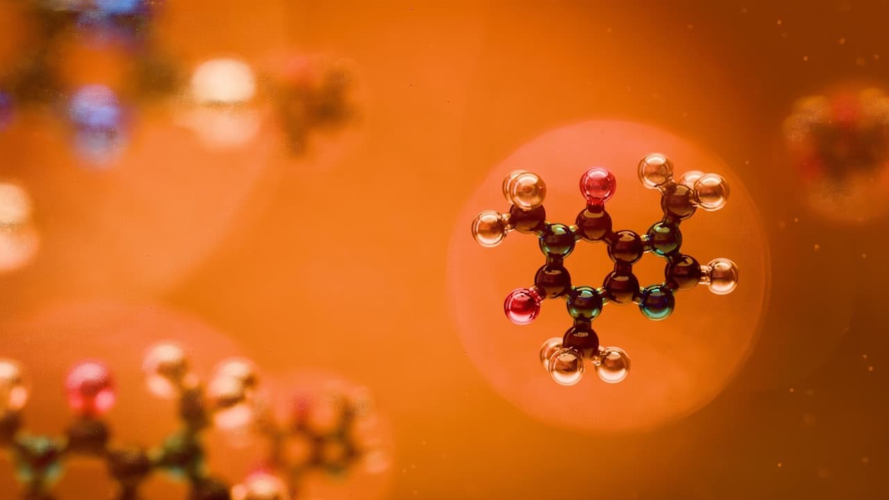 The Pharmacology of Psilocybin: From Ingestion to Effect