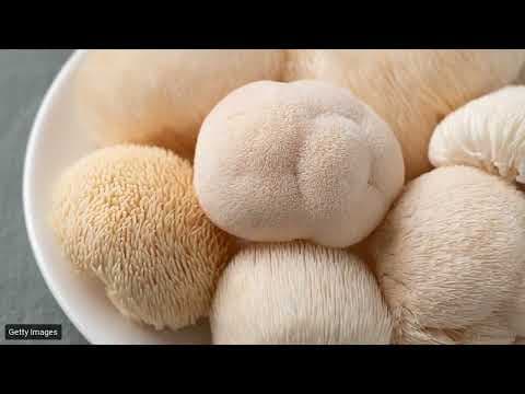 Functional Mushrooms: Bioactive Compounds, Health Benefits & Research Overview